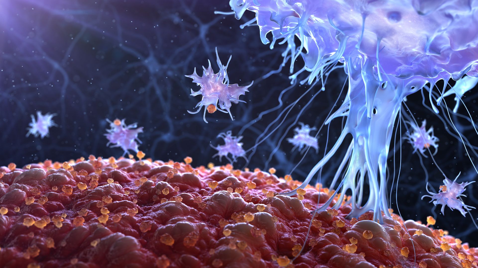 Your Immune System’s Mighty Allies