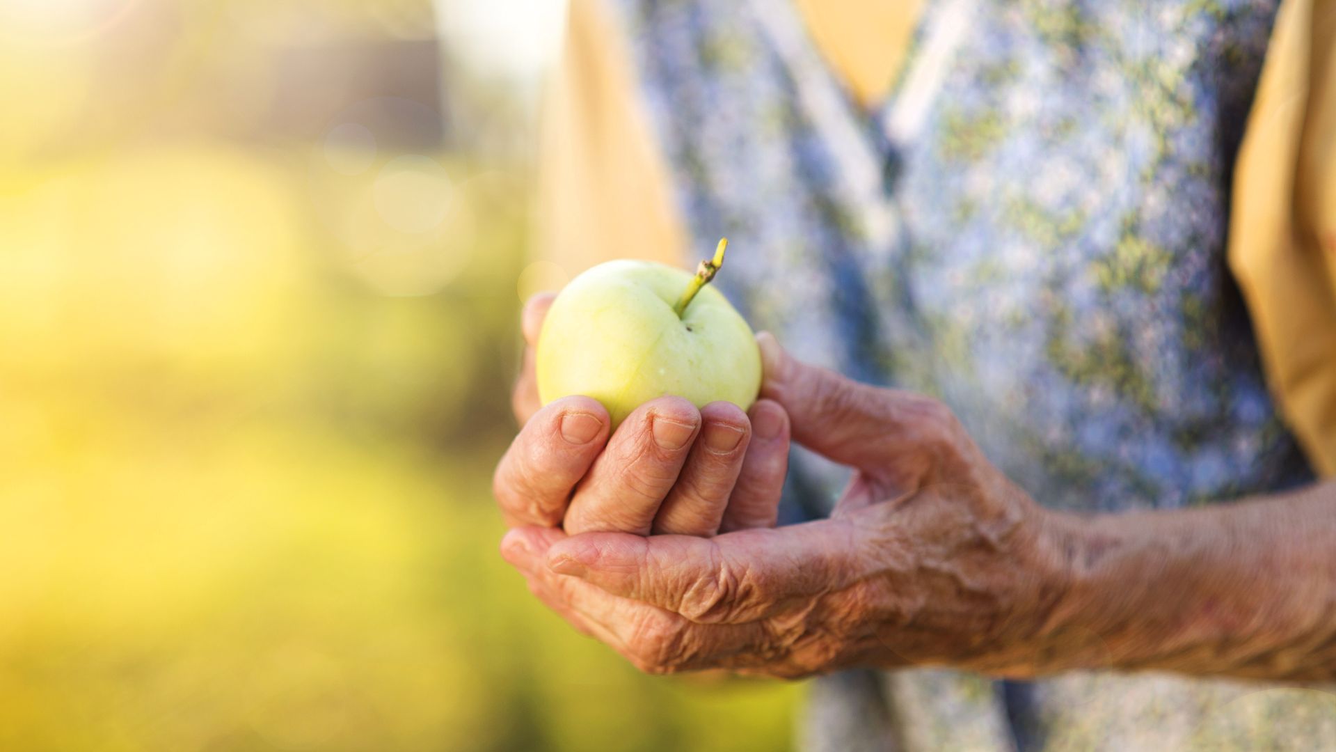 Discover the Power of Nutritional and Functional Peptides